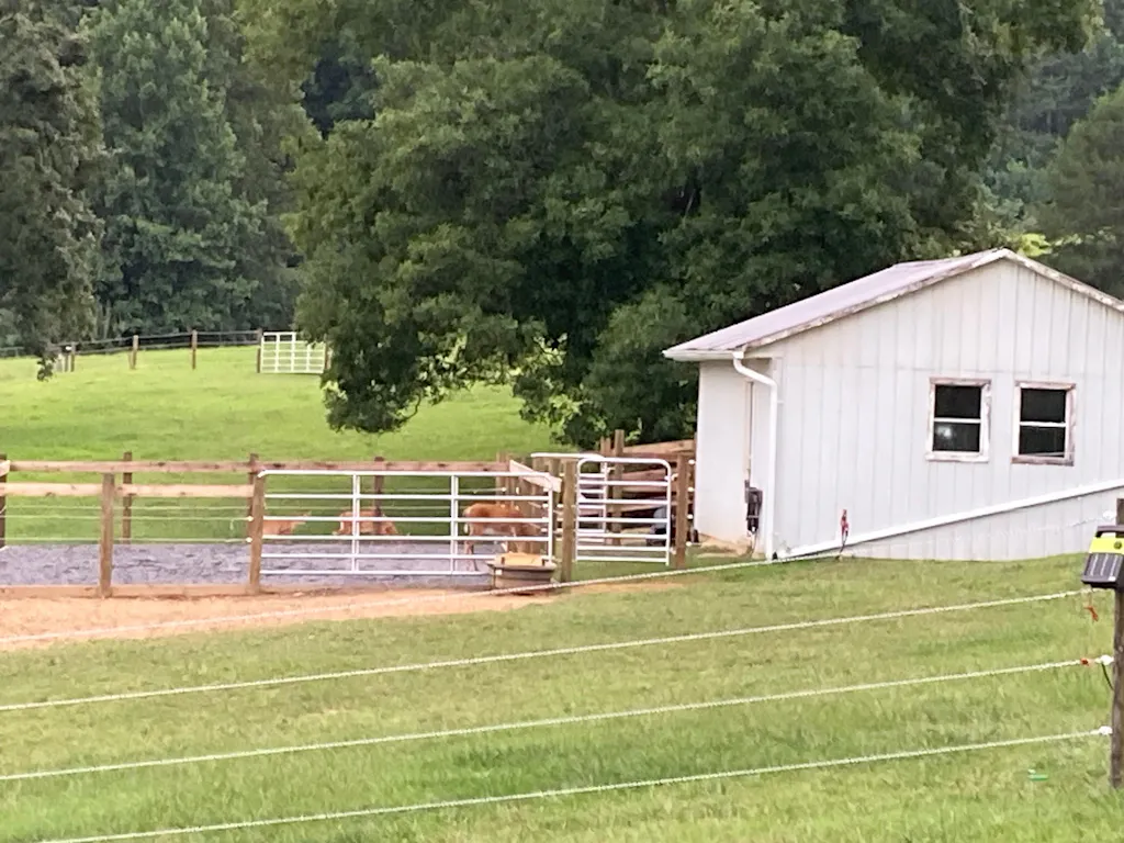 Lighthoof Equine Mud Management Panel