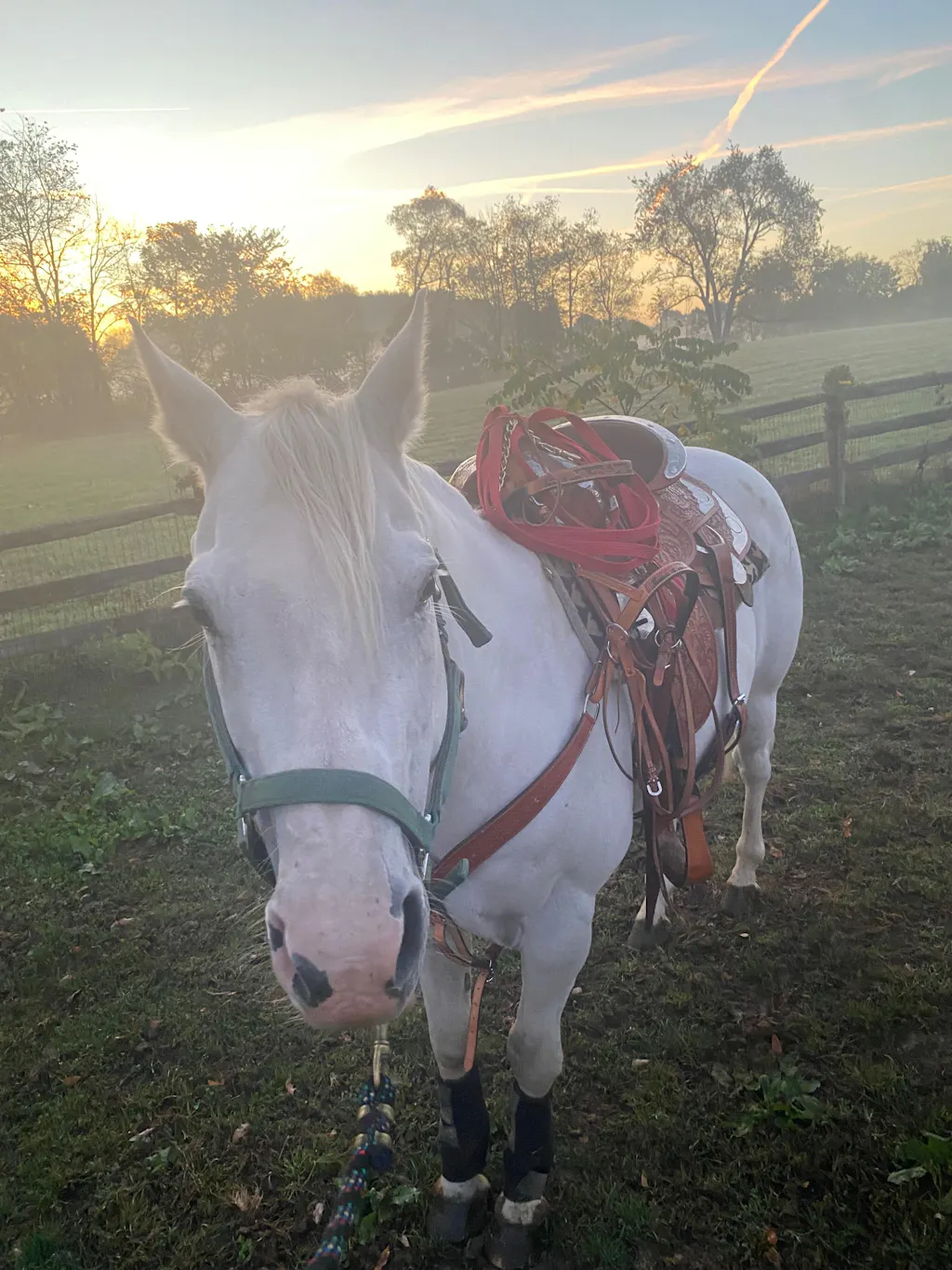 Lighthoof Equine Mud Management Panel