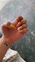 Golden/Bronze Luxe | Chic French Handmade Acrylic Press-On Nails