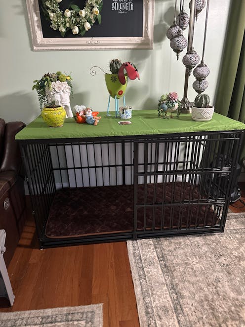 60" XXXL Heavy Duty Indoor Kennel & Crate for Extra Large Dogs