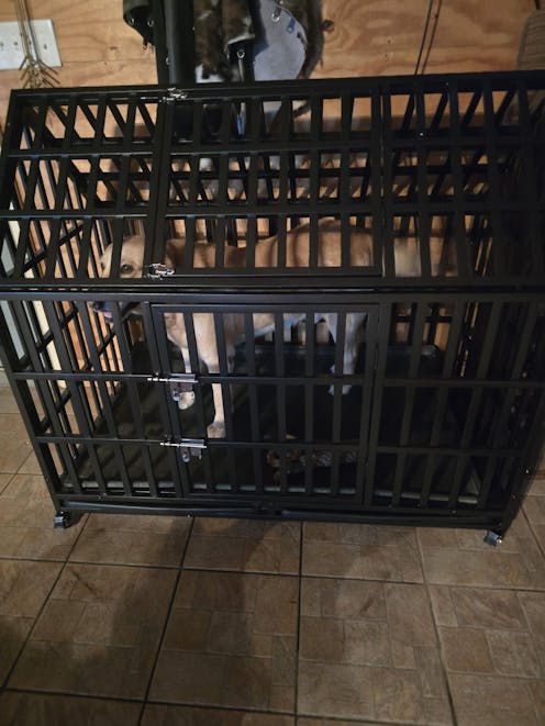 51" XXL Heavy Duty Indoor Dog Kennel, Indestructible Dog Crate for Separation Anxiety