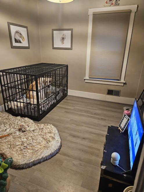 60" XXXL Heavy Duty Indoor Kennel & Crate for Extra Large Dogs