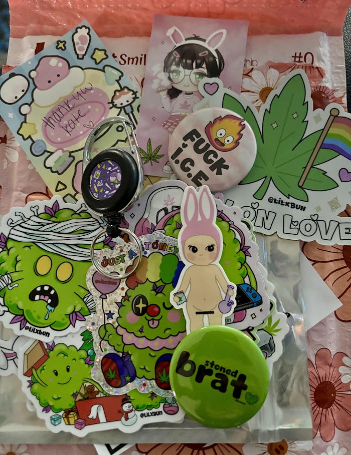 Mystery Sticker Bundle -10 Random Stickers!