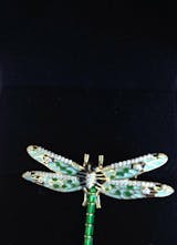 Image de l'utilisateur