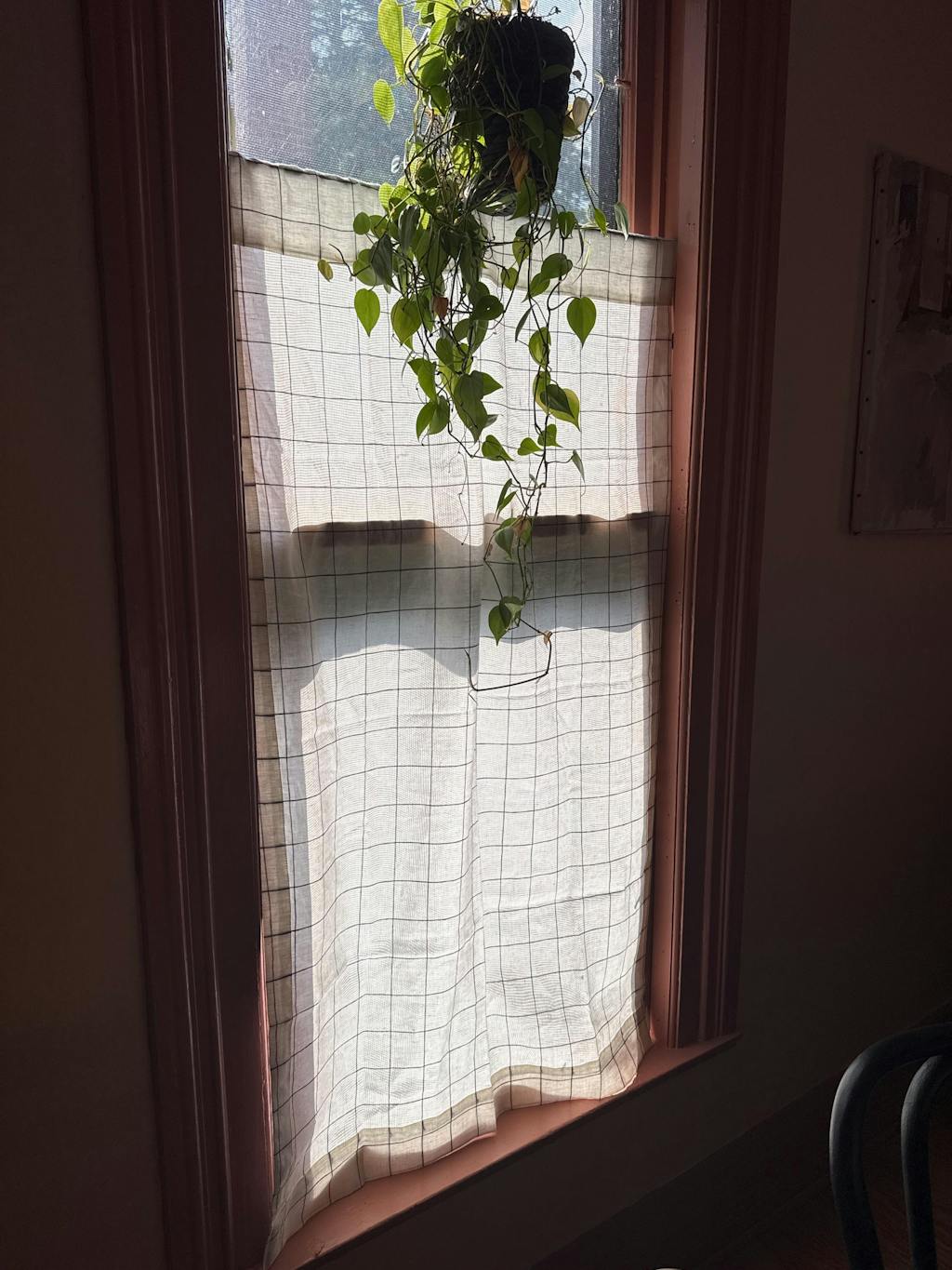 Linen Curtain with Button Holes