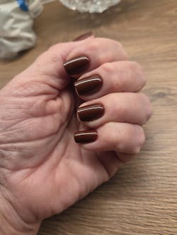 Wine Red Short Square