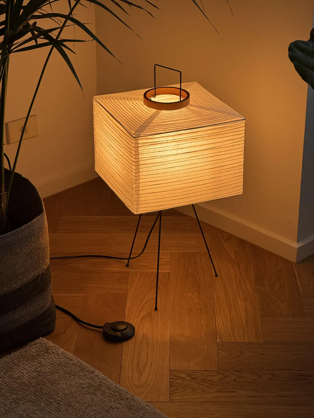 Foot Dimmer and Switch