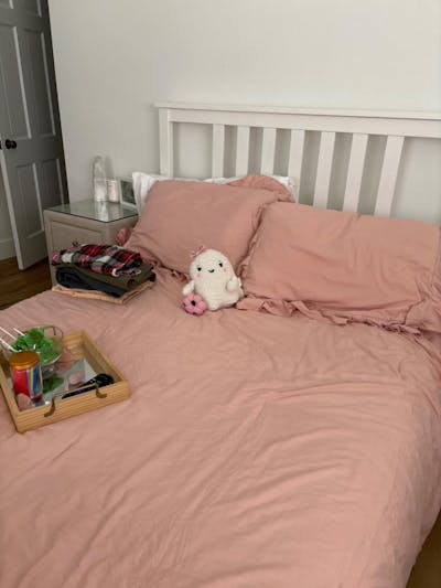 Ruffle Cute Lightweight Fluffy as Gift 3 Pieces Comforter Set