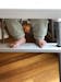 Eco-Friendly Highchair Footrest