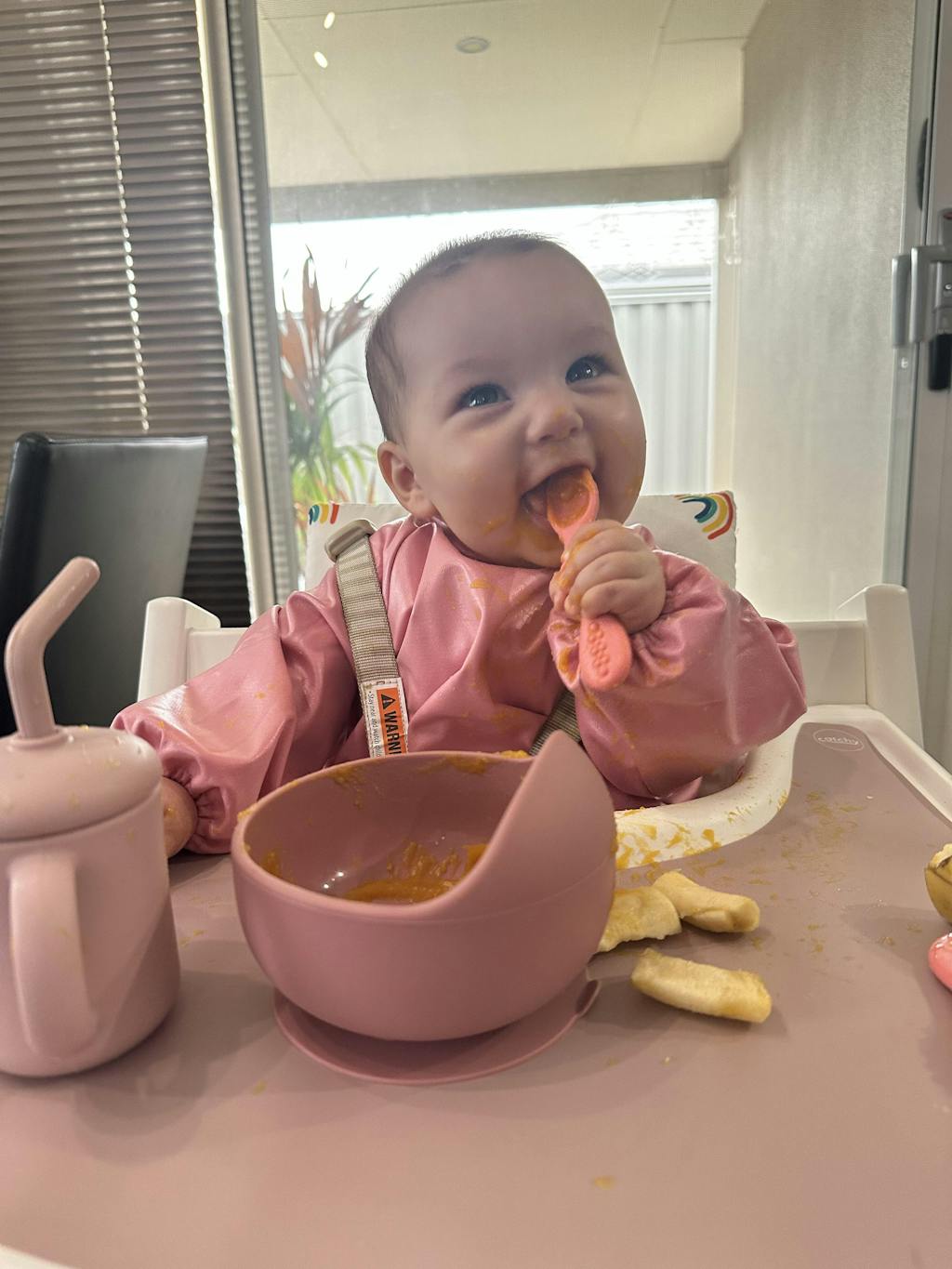 Little Chomps Toddler Smock Bib Loved by Dietitians