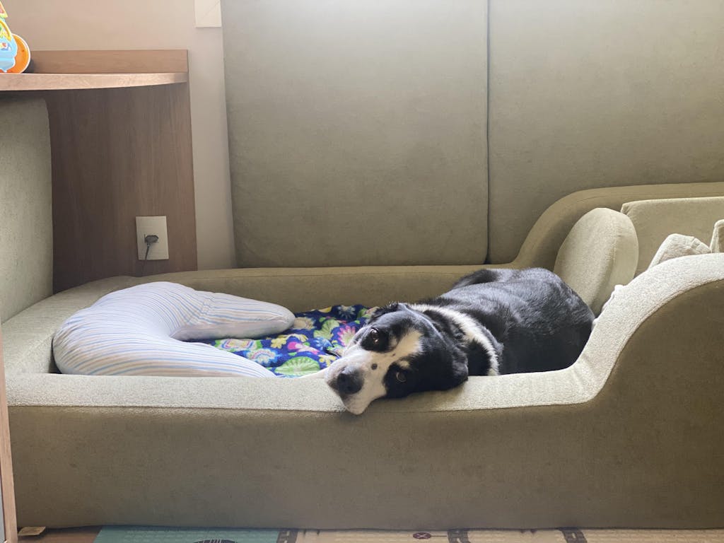 Cama Montessoriana Solteiro + Colchão