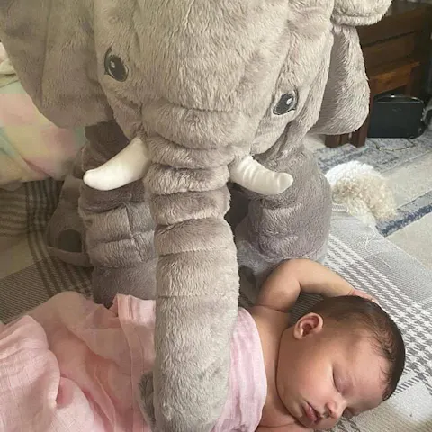 $ Baby Elephant Plush Pillow $