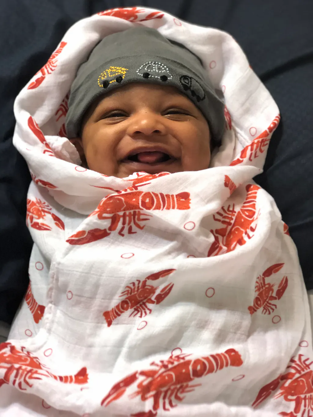 White/Red Lobsters Swaddle Blanket