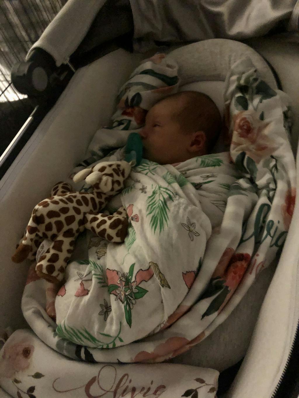 Gift Set Florida Baby Muslin Swaddle Blanket and Burp Cloth/Bib Combo