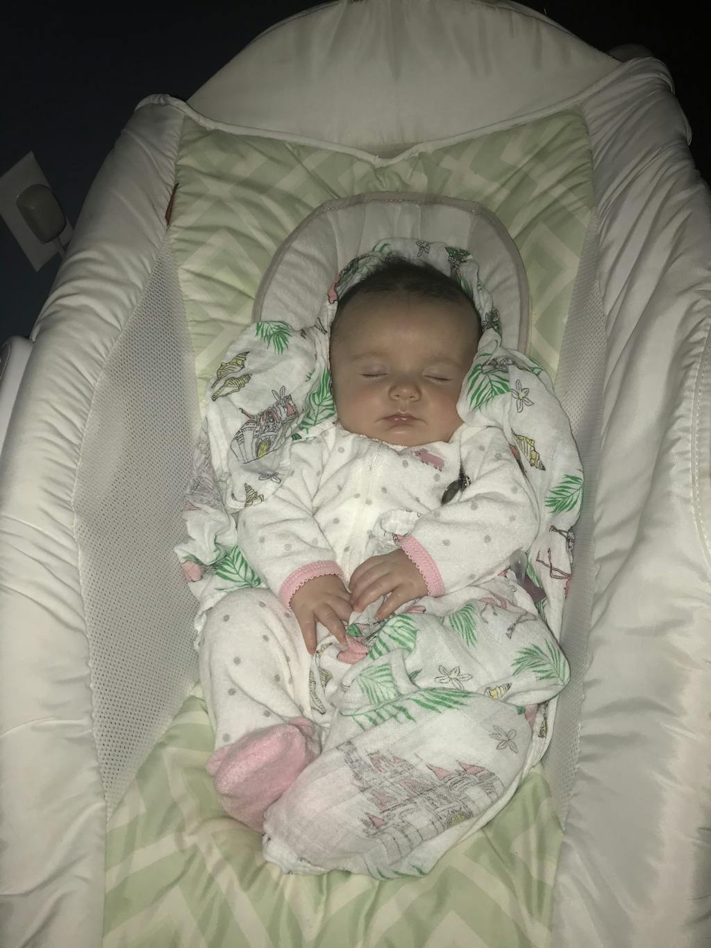 Gift Set Florida Baby Muslin Swaddle Blanket and Burp Cloth/Bib Combo