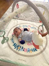 fisher-price Hello Kitty ミュージカルデラックスジム FISHER-PRICE SANRIO HELLO KITTY BABY MUSICAL GYM — Little Luxury