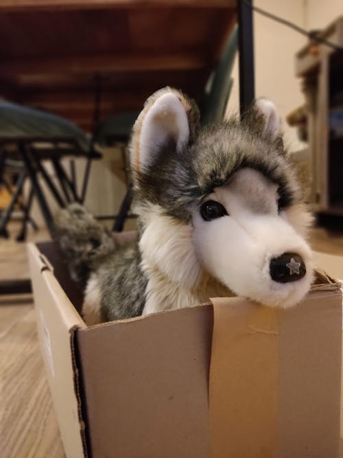 Smoke DLux Wolf | Douglas Cuddle Toy