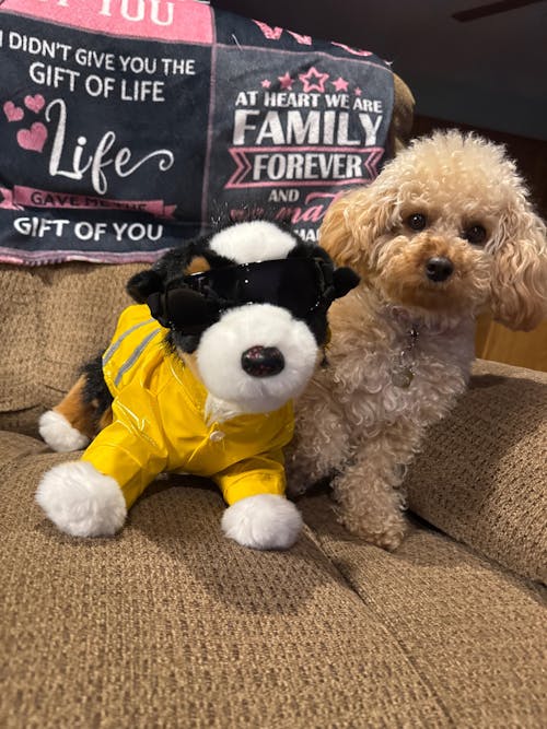 Raincoat | ESSA Gear