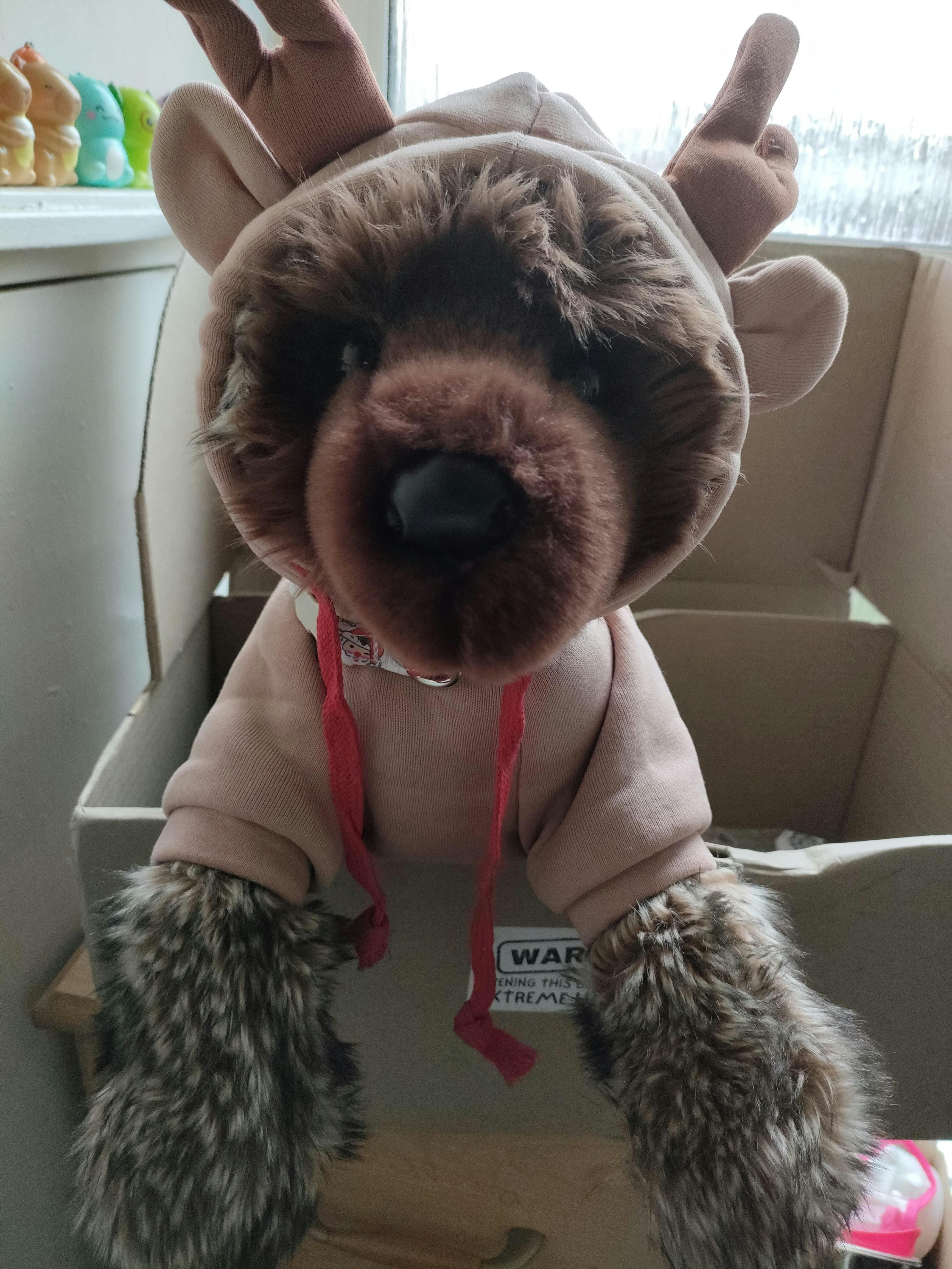 Maizie DLux Australian Shepherd | Douglas Cuddle Toy – Little Paws