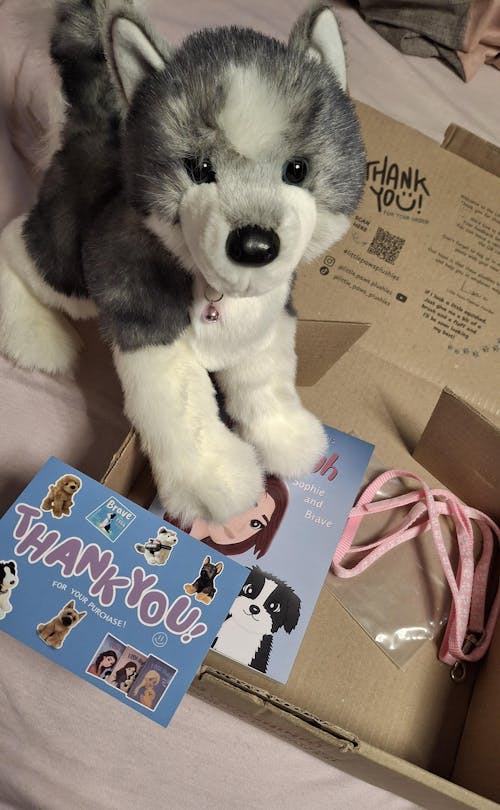 Sasha Husky | Douglas Dog