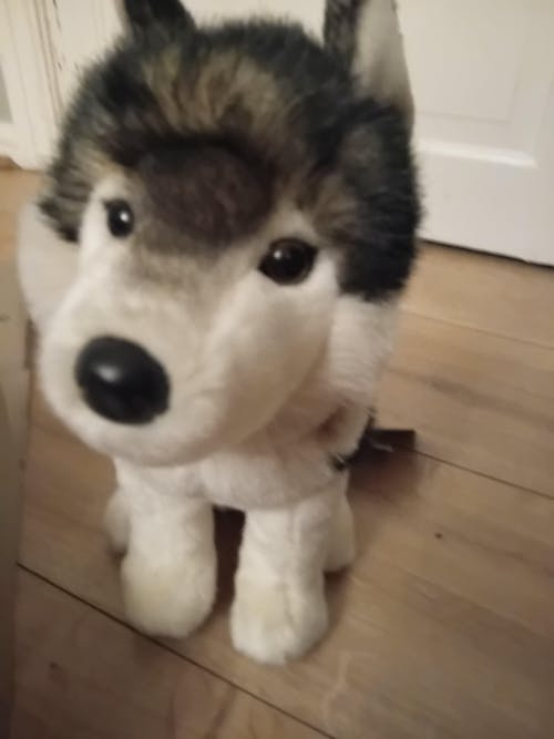 Atka Wolf | Douglas Cuddle Toy