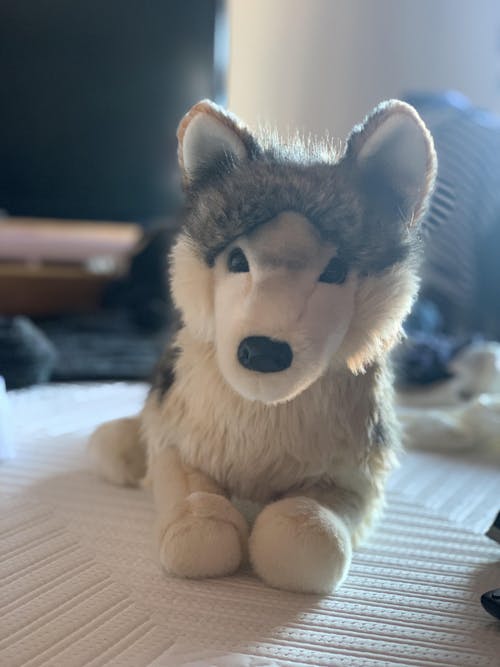 Little Paws Plushies