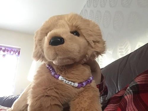 Little Paws Plushies