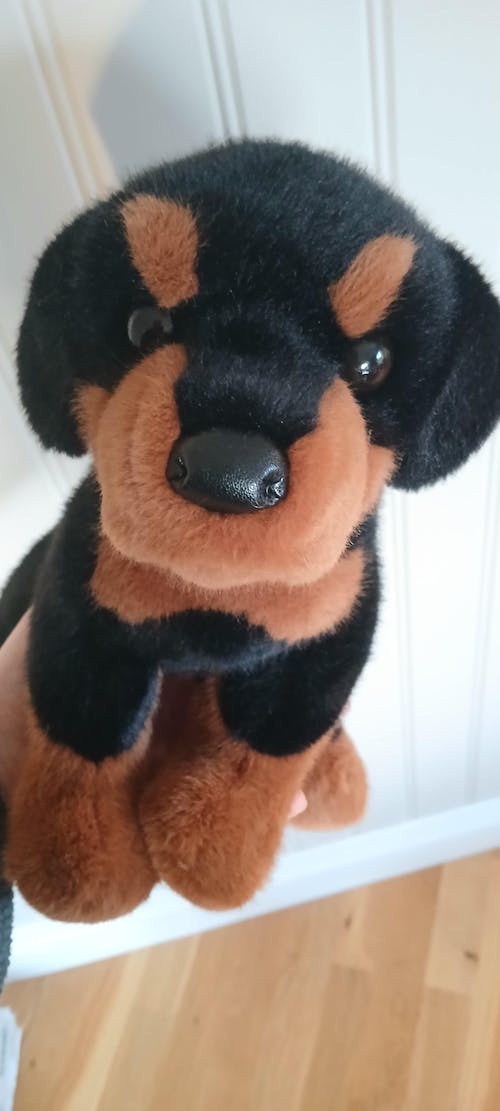 Ed Rottweiler Dog | Douglas Dog | 12" Long