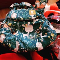Emerald Forest - Tula Explore Baby Carrier
