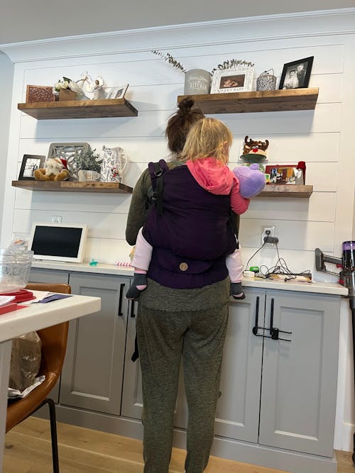 Plum LennyPreschool Carrier by Lennylamb
