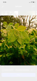 User picture