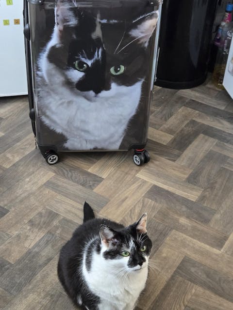 Upload Your Photo Suitcase