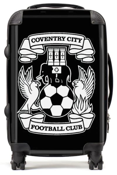 Custom Suitcase for Reggie