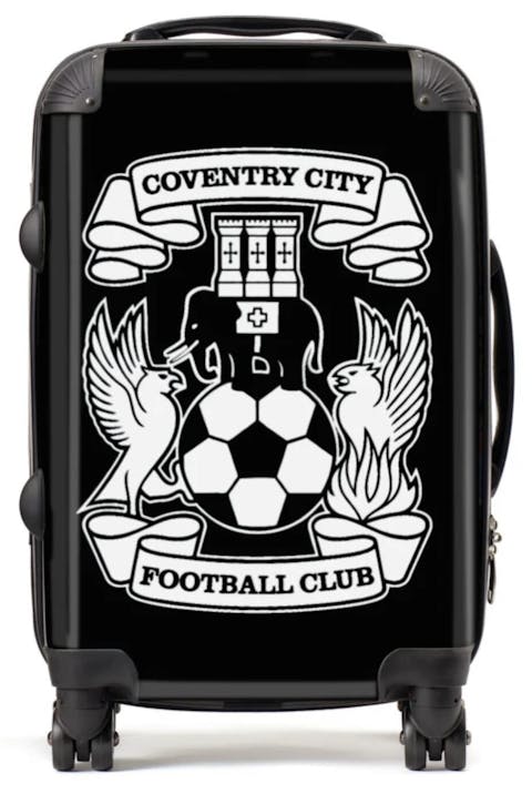 Custom Suitcase for Reggie