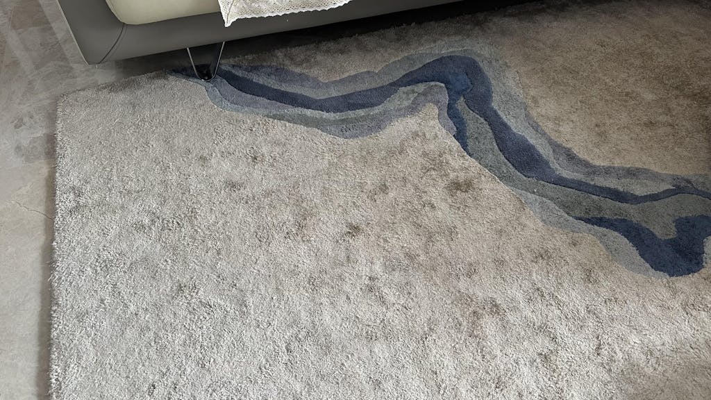 Modern Designer Rugs & Carpets Buy Online SG Showroom Highly Rated