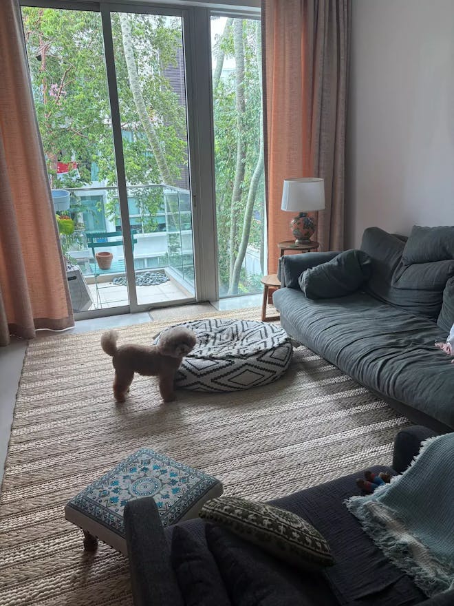 Hale Jute Natural Rug