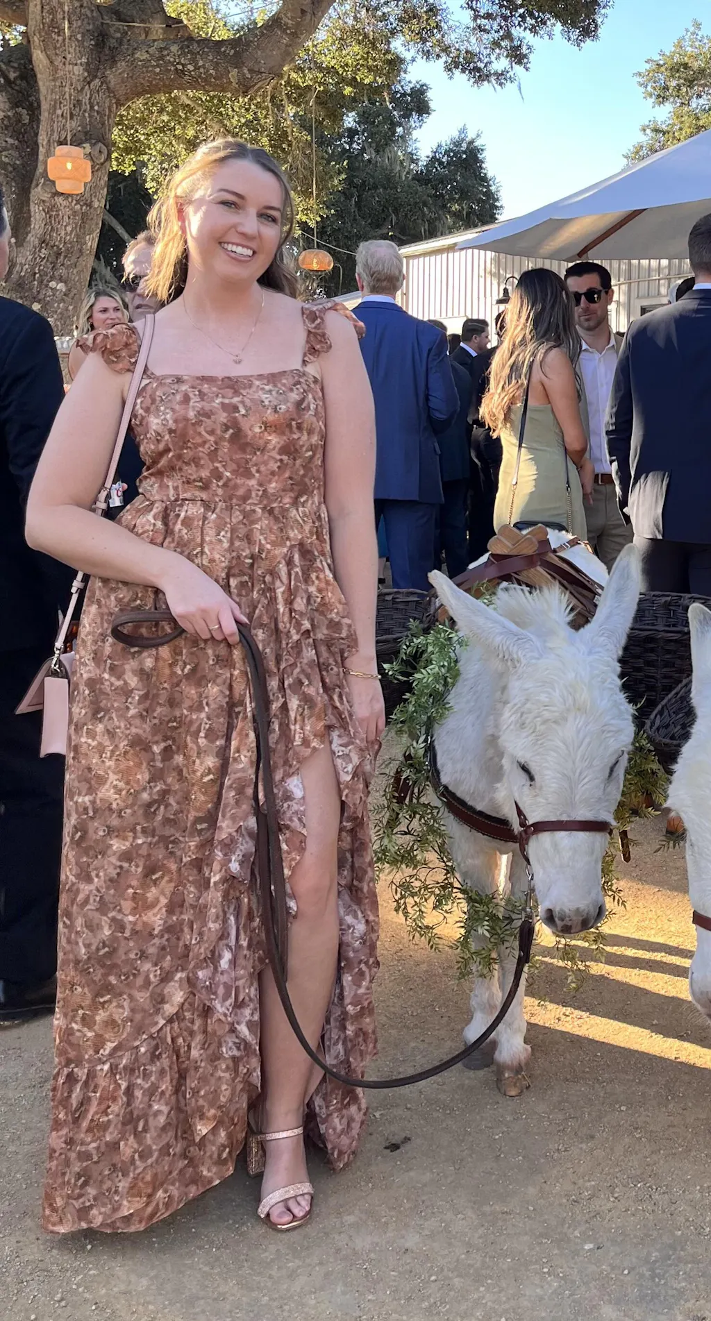 Daphne Brown Floral Ruffle Maxi Dress - Lizard Thicket