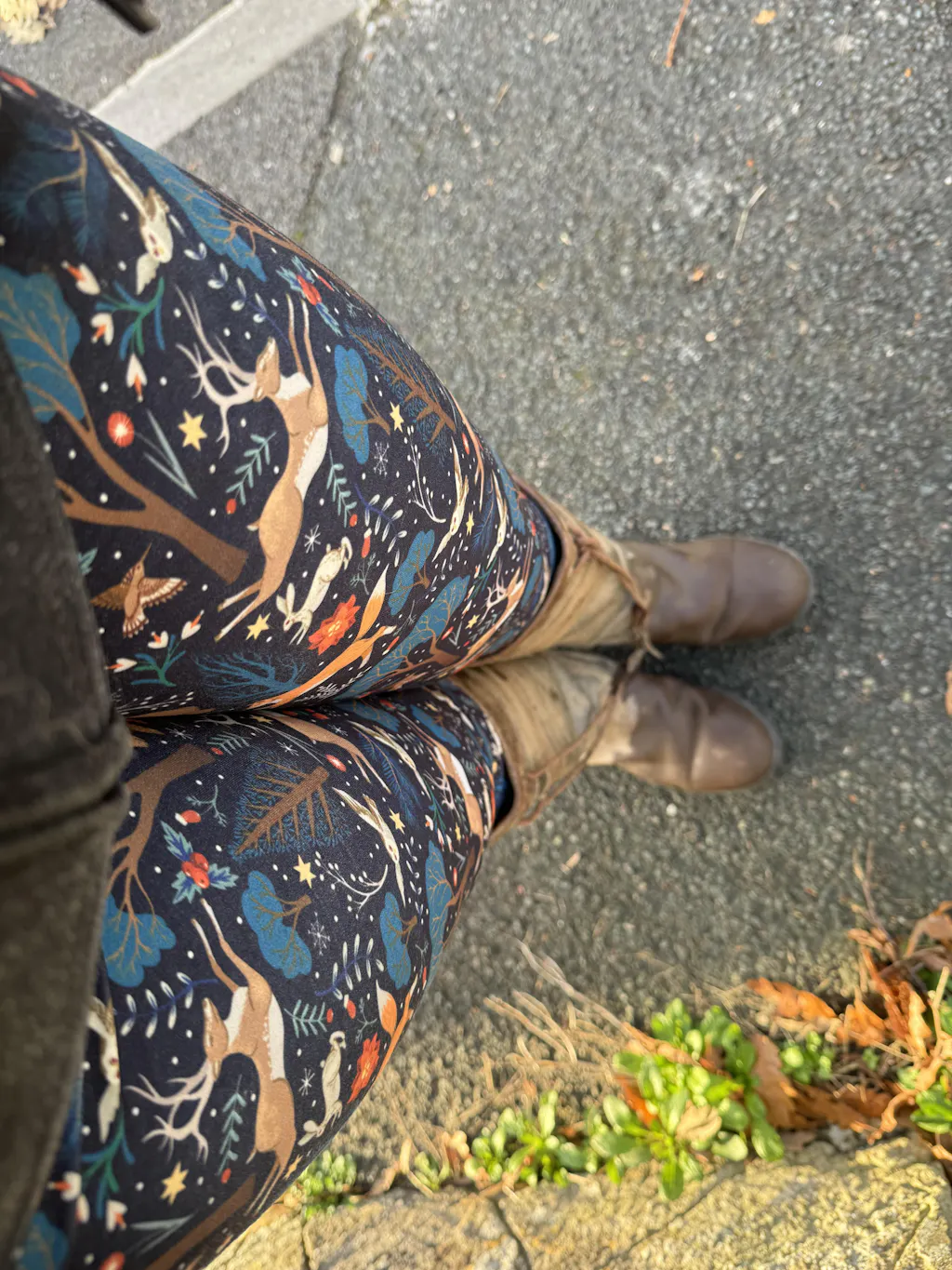 Arbuthnot Ancient Tartan Capris Leggings