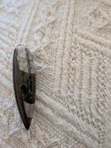 COLGANTE DE ORTHOCERAS