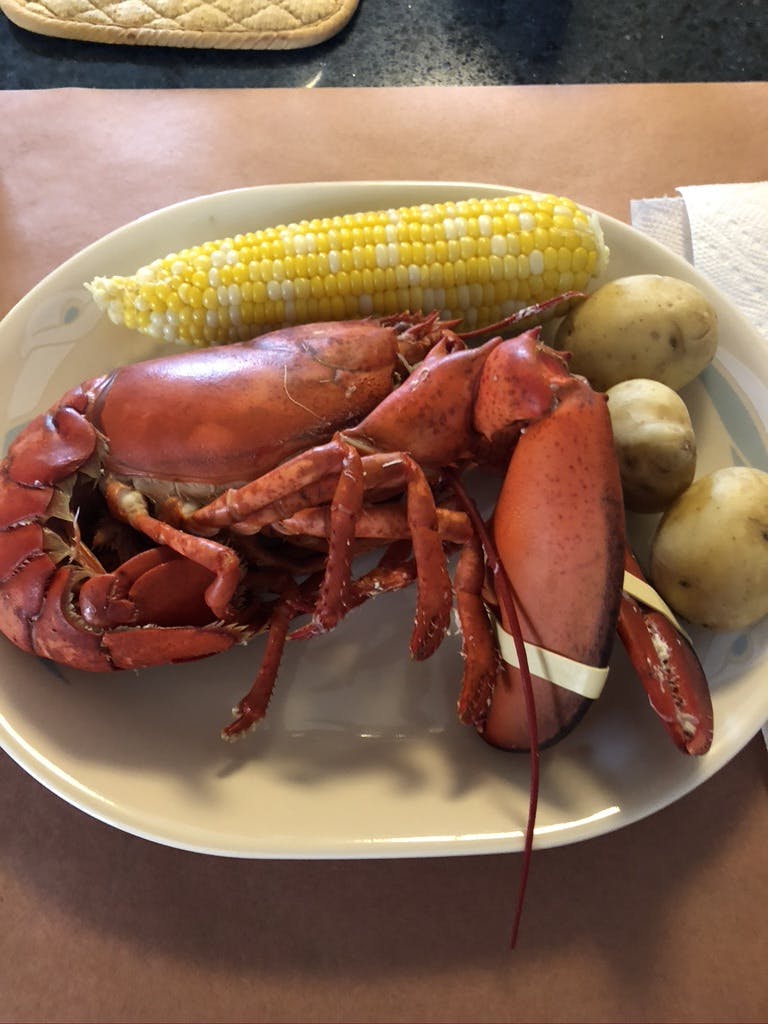Order 2lb Maine Lobster Direct Buy Fresh Lobsters
