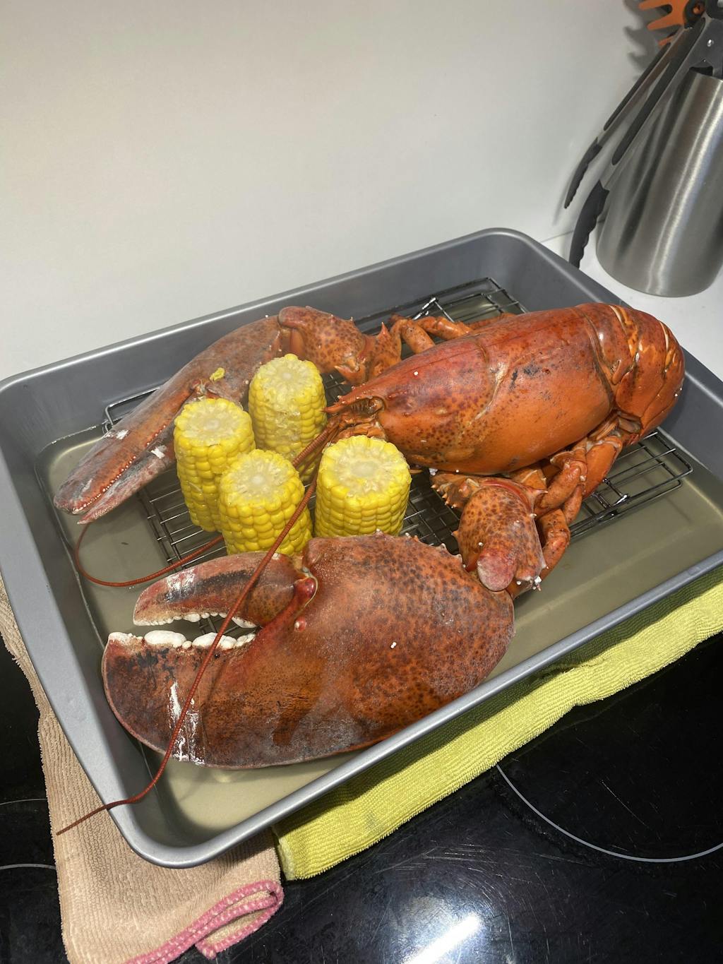 Buy Live Lobster Online We Sale Live Maine Lobsters and Ship