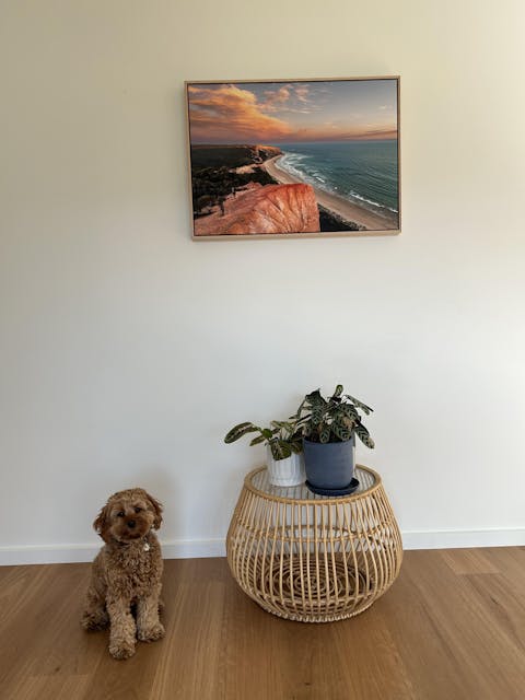 Point Addis Art Print I