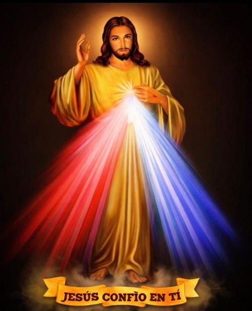 Botines en cuero para dama Dalia