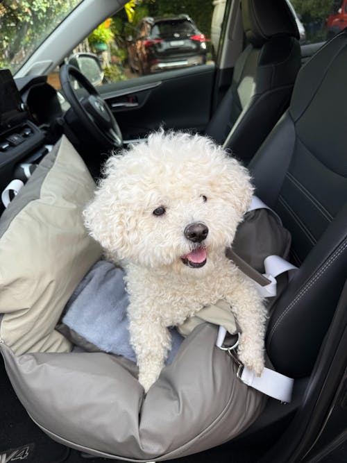 Faux Leather 3-in-1 Waterproof Dog Car Seat Bed Grey