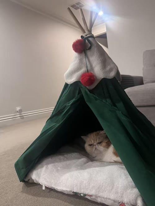 Holiday Christmas Large Pet Tent with Cushion