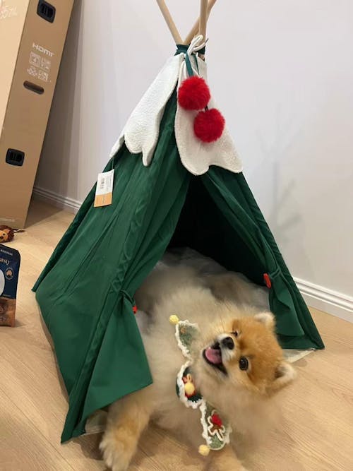 Holiday Christmas Large Pet Tent with Cushion