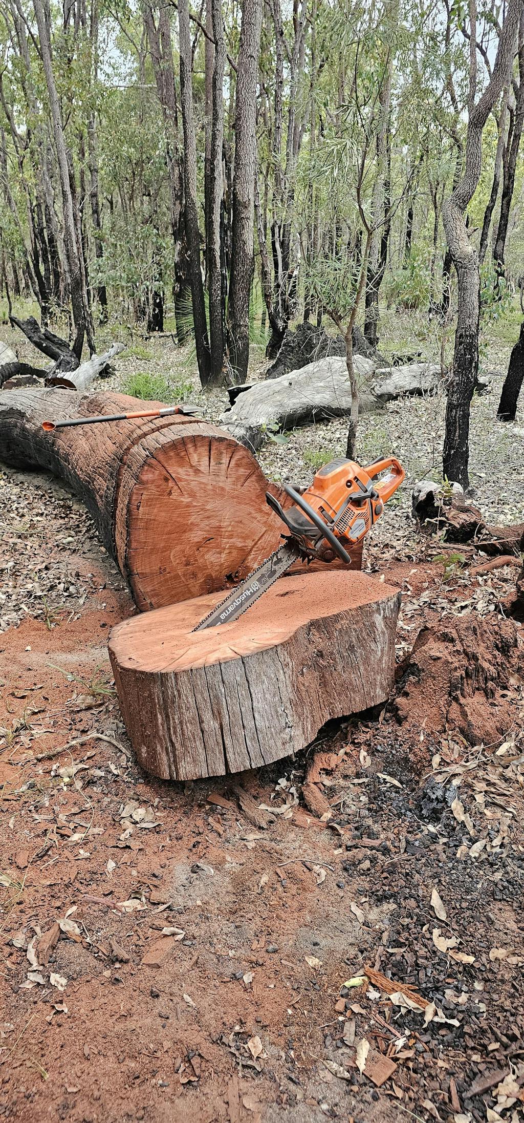 CHAINSAWS PARTS BY BRAND visual data 3