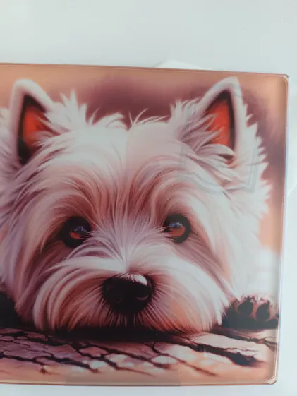 Paladone Onderzetters Party Face Mats 20-delig Set