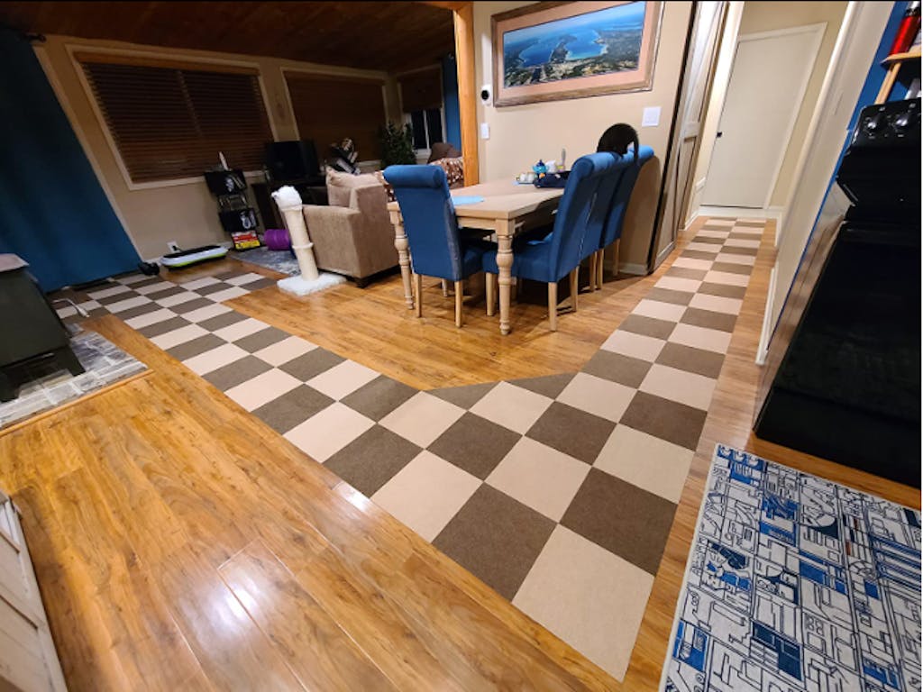 Nonslip Treads Mat For Dogs