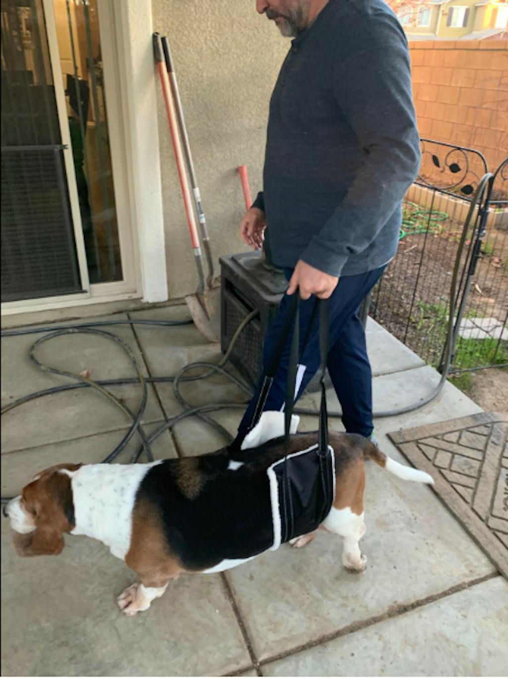 LOOBANI Dog Sling for Back Legs